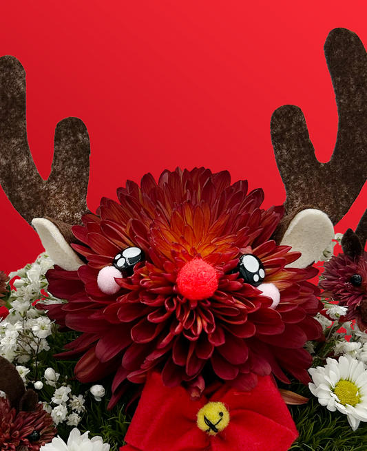 Rudolph the Reindeer - Made With Fresh Cut Flowers