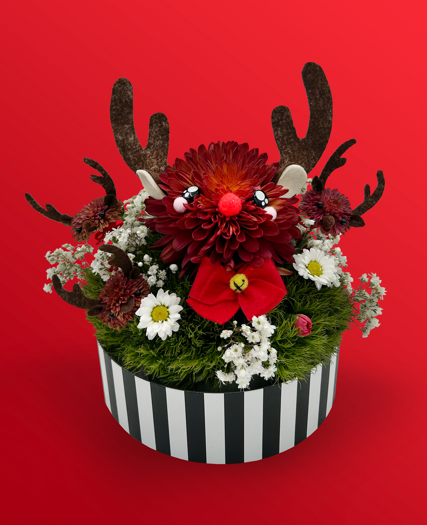 Rudolph the Reindeer - Made With Fresh Cut Flowers