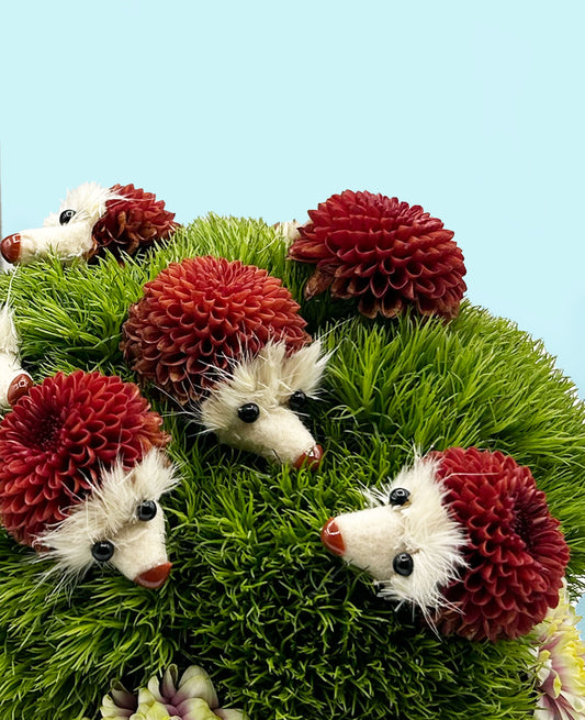 The Pricklepants Hedhehogs Kids - (seasonal) Made with Fresh Cut Flowers