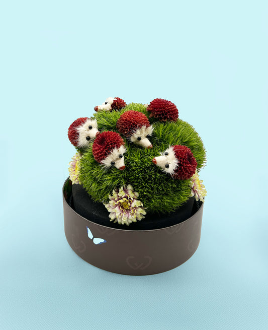 The Pricklepants Hedhehogs Kids - Made with Fresh Cut Flowers