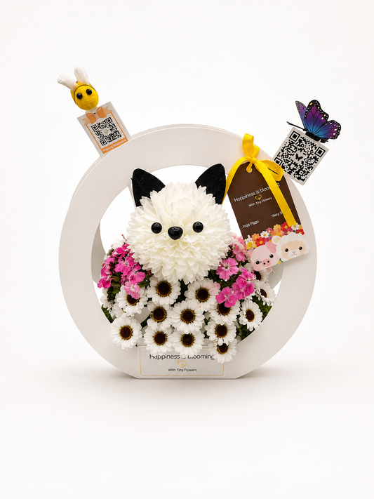 Jimmy Chew- dapper and fully in bloom