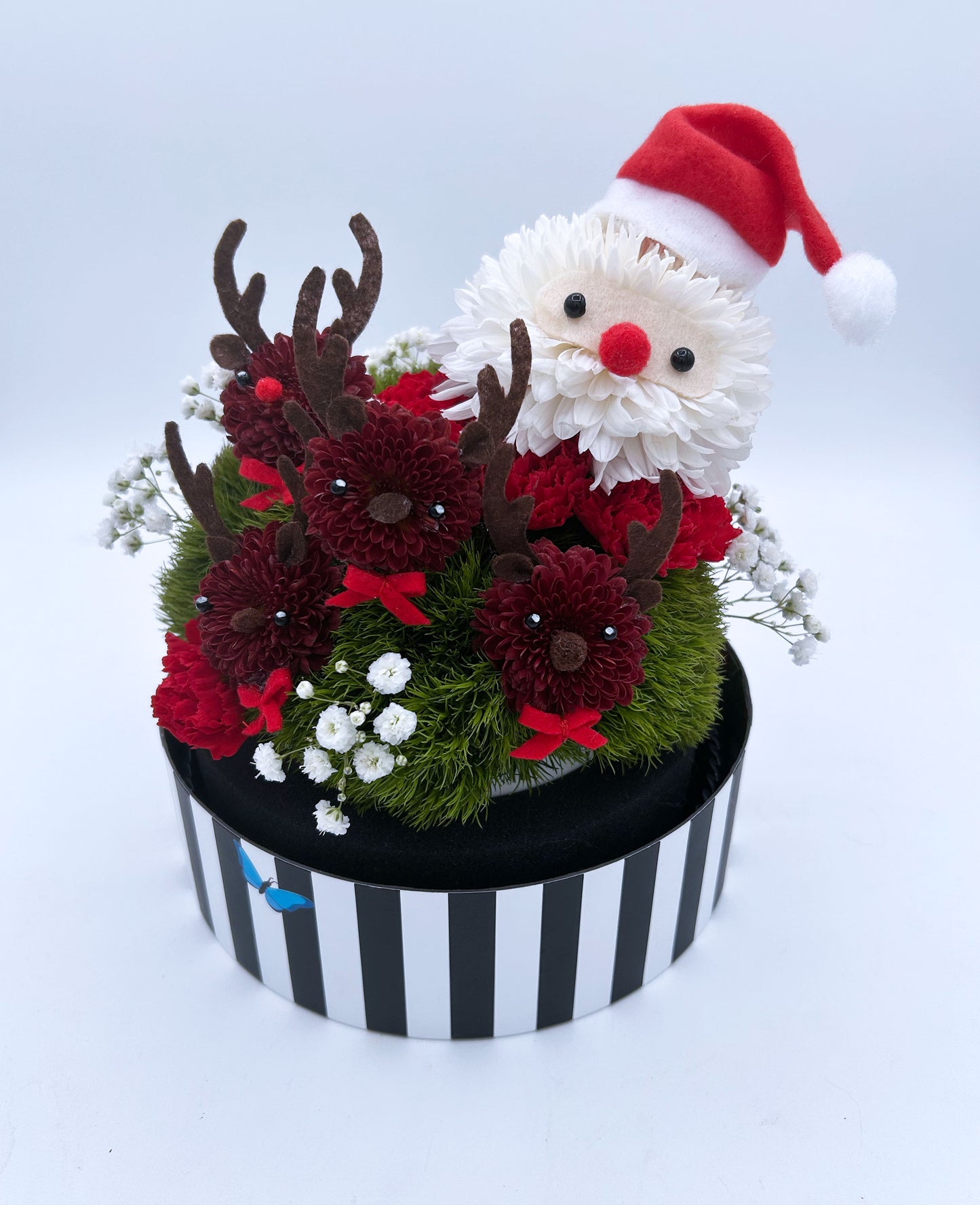 Santa & The Mini Reindeer Squad