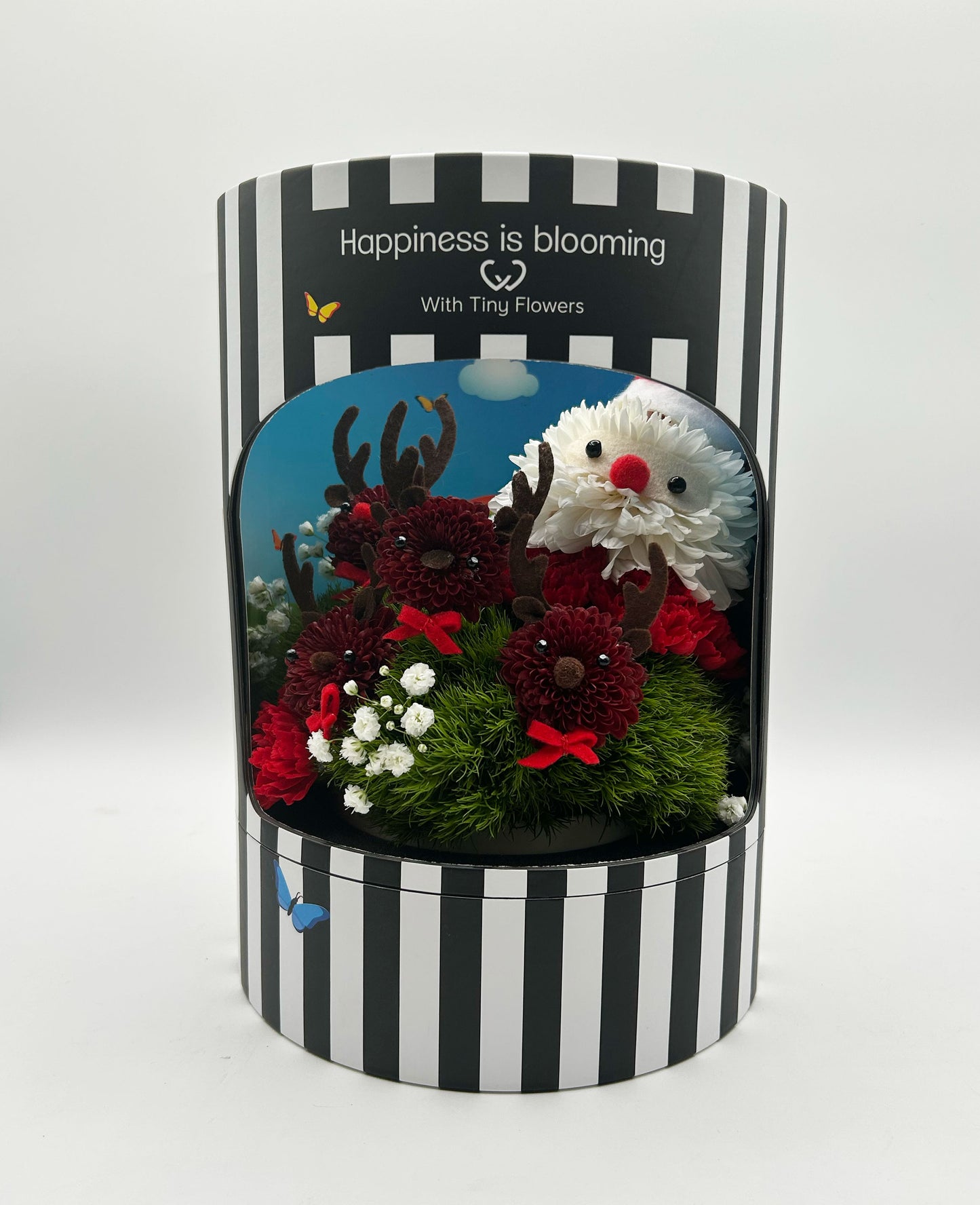 Santa & The Mini Reindeer Squad